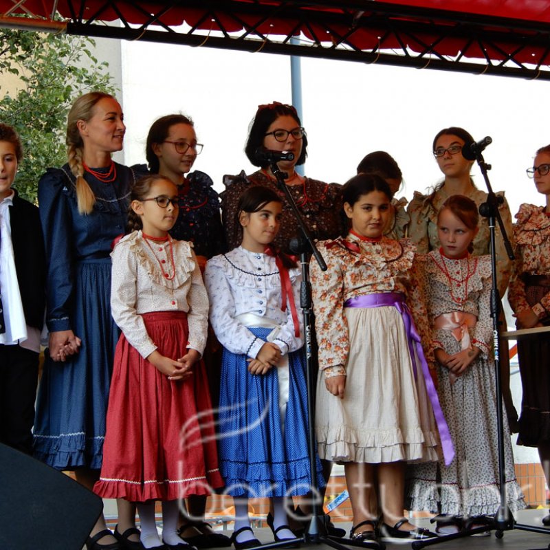 Helyi Értékek Startja 20